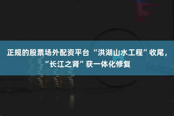正规的股票场外配资平台 “洪湖山水工程”收尾，“长江之肾”获一体化修复